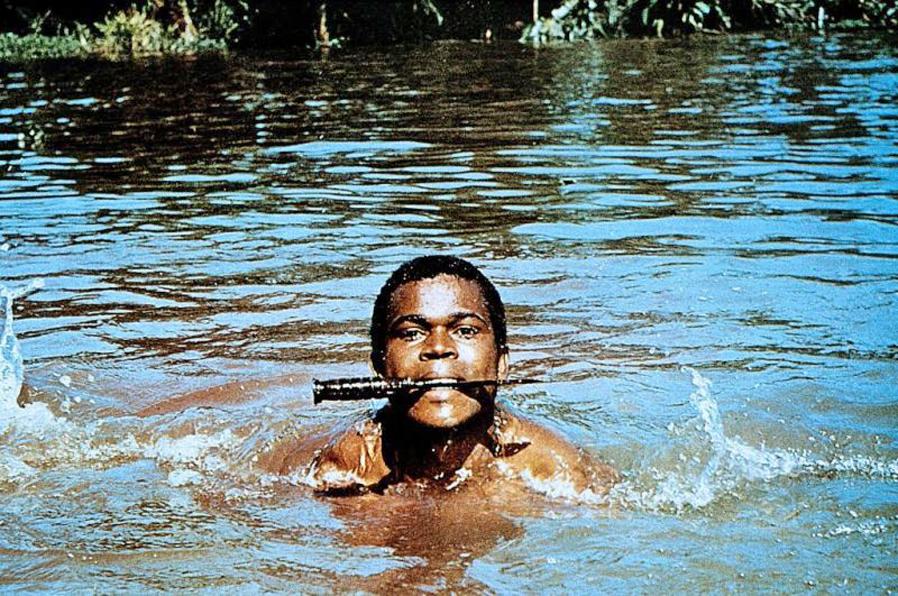 Serge Nubret image