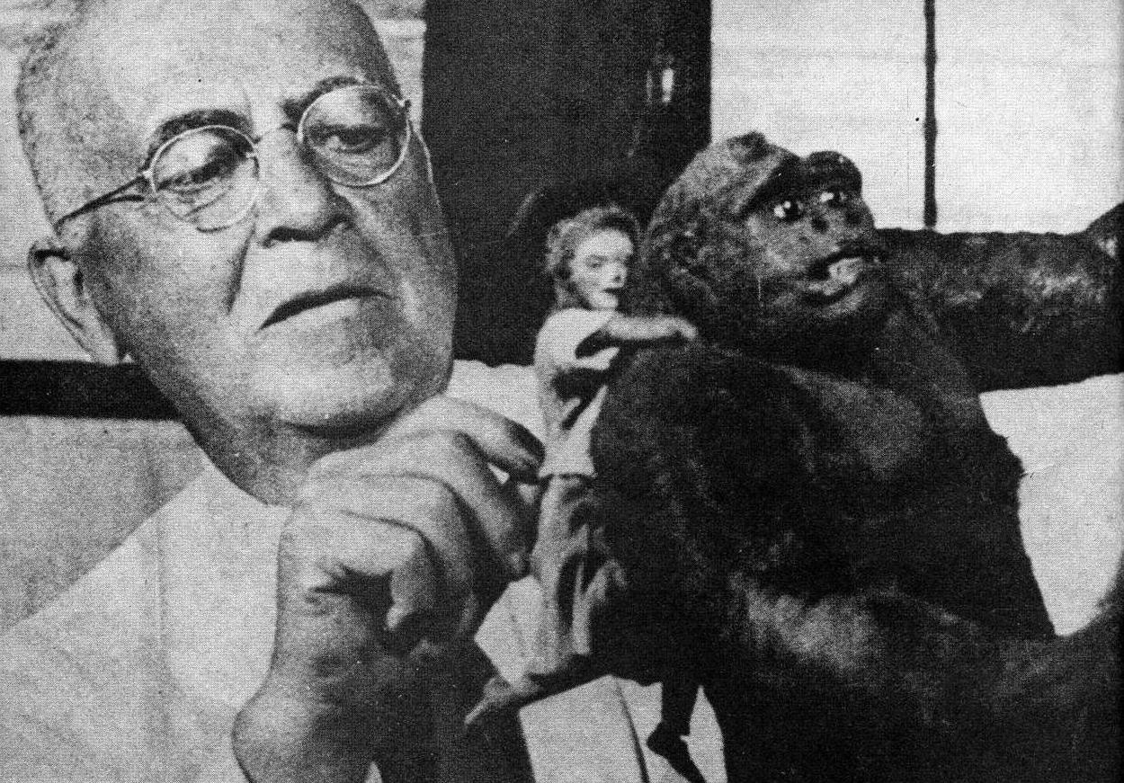 Willis H. O'Brien image