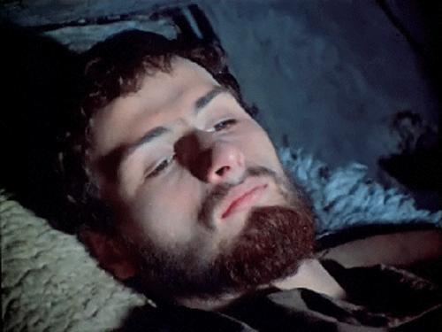 Guram Palavandishvili image