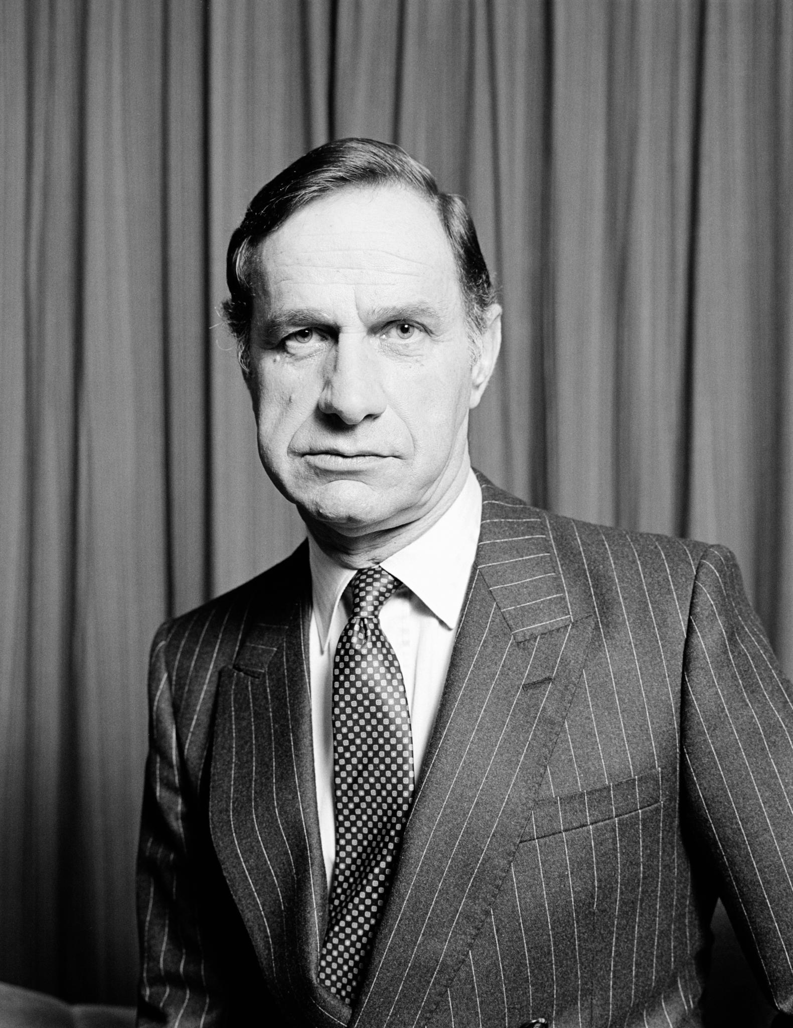 Geoffrey Palmer image