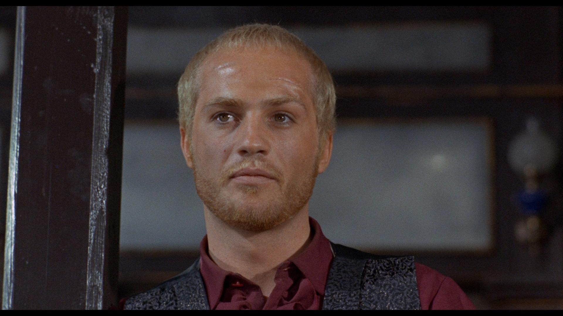 Carlo Palmucci image