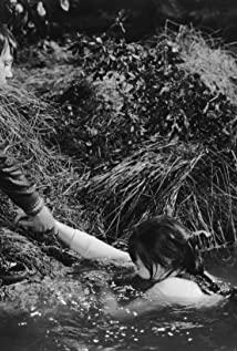 Loretta Parry image