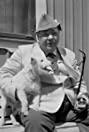 Edvard Persson image