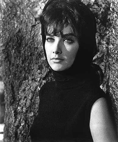 Suzanne Pleshette image