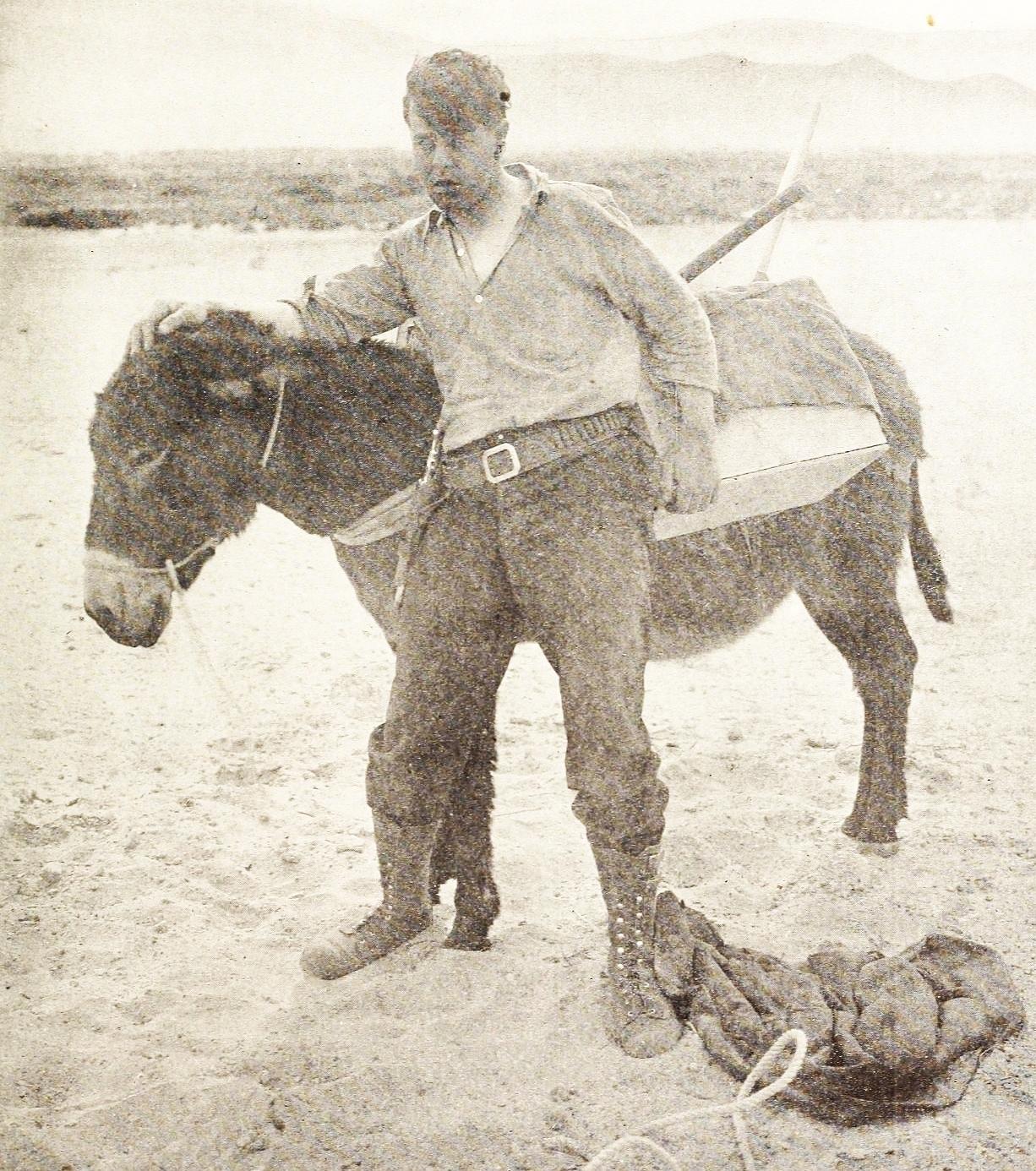 Harry A. Pollard image