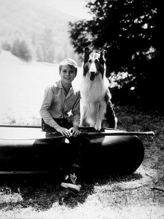Jon Provost image