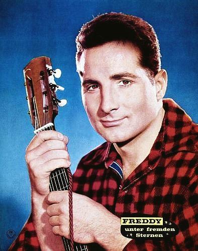 Freddy Quinn image