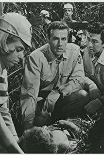 Rhodes Reason image