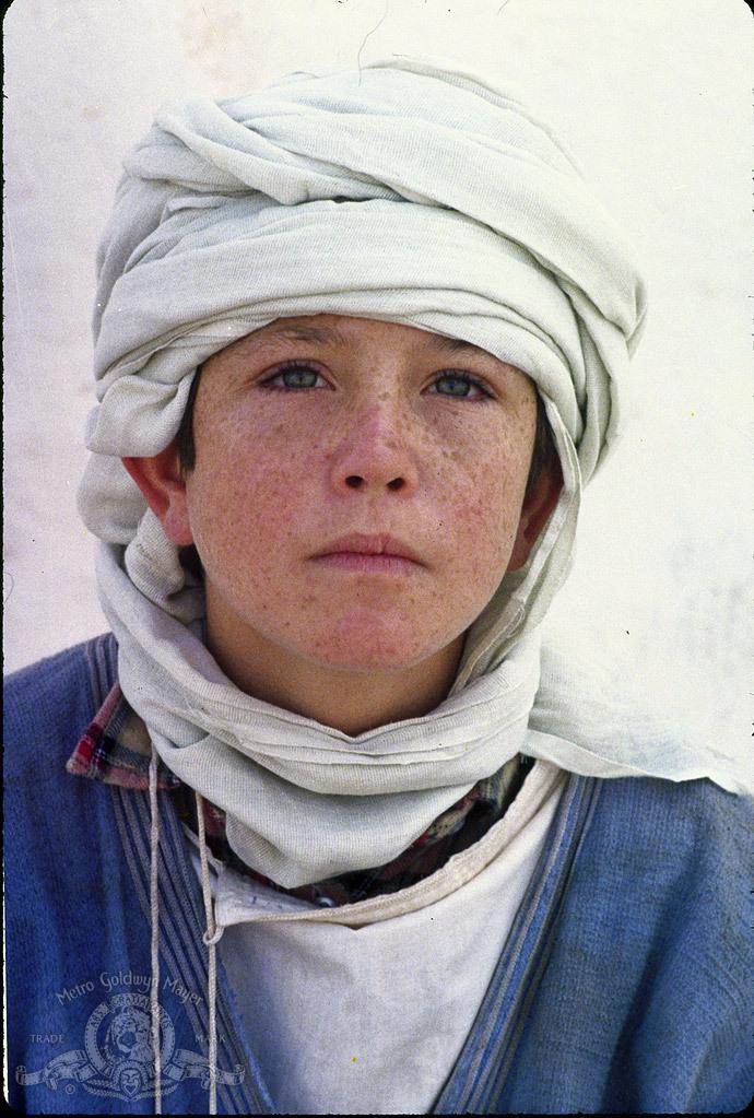 Kelly Reno image