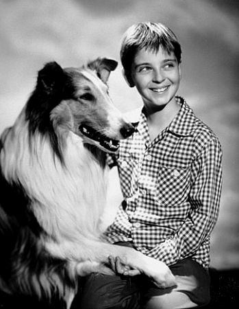 Tommy Rettig image