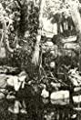 Cleo Ridgely image