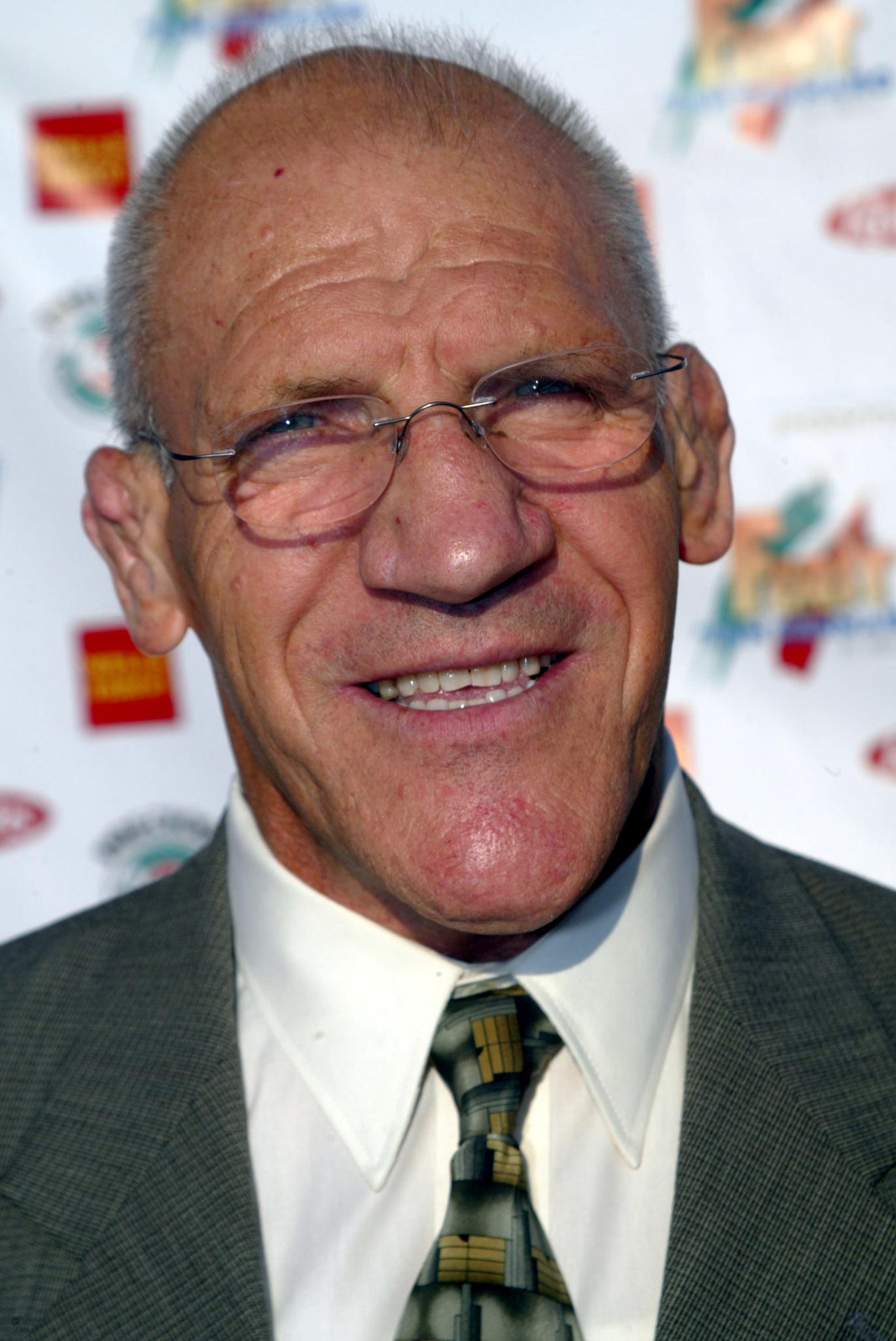 Bruno Sammartino image