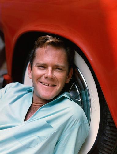 Dick Sargent image