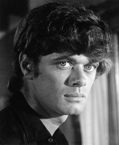 Michael Sarrazin image
