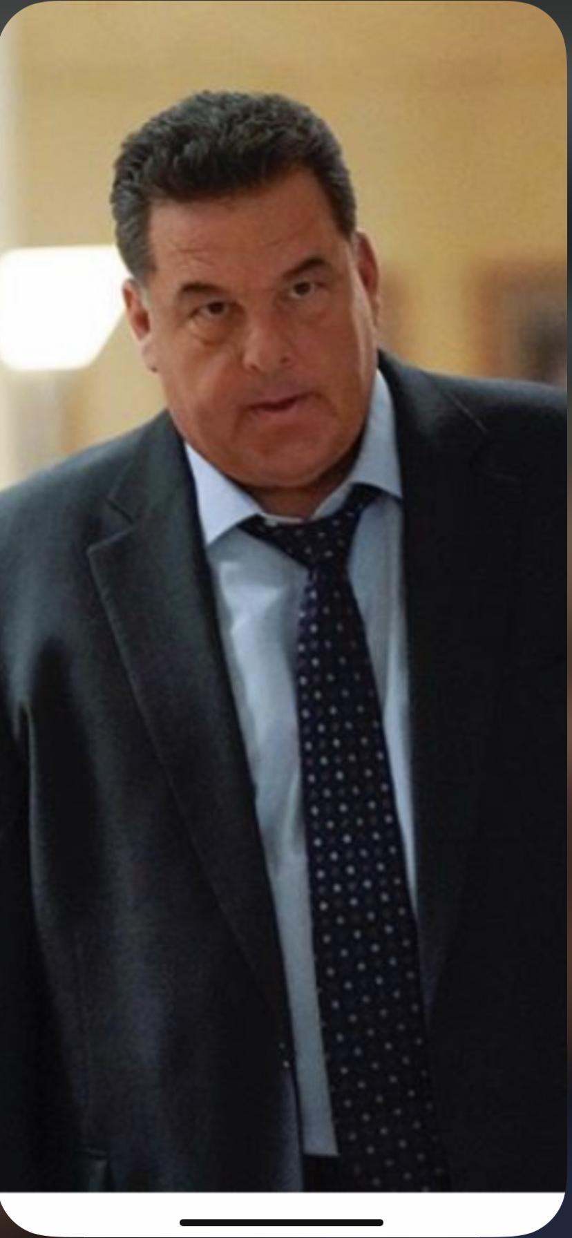 Steve Schirripa image