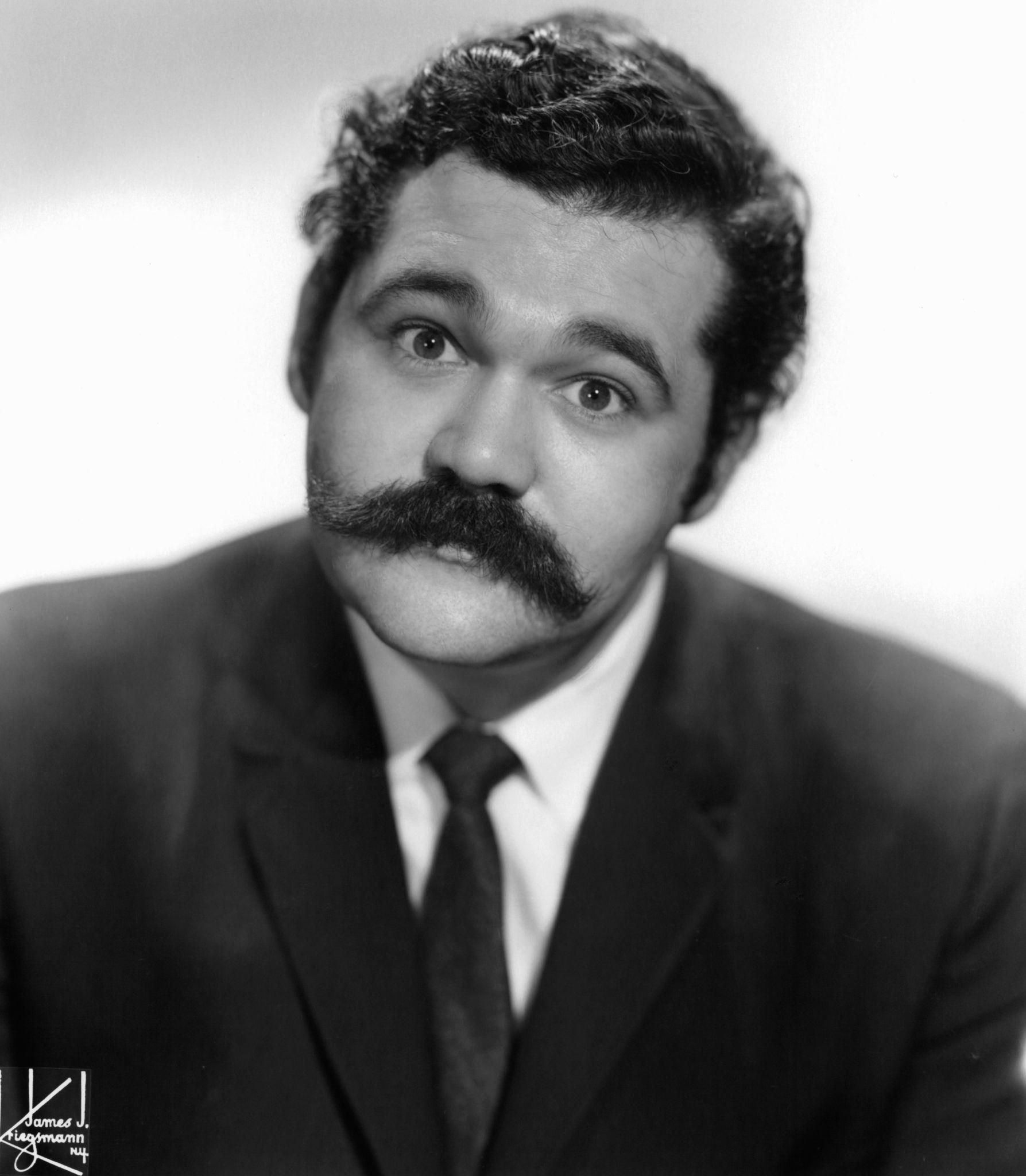 Avery Schreiber image