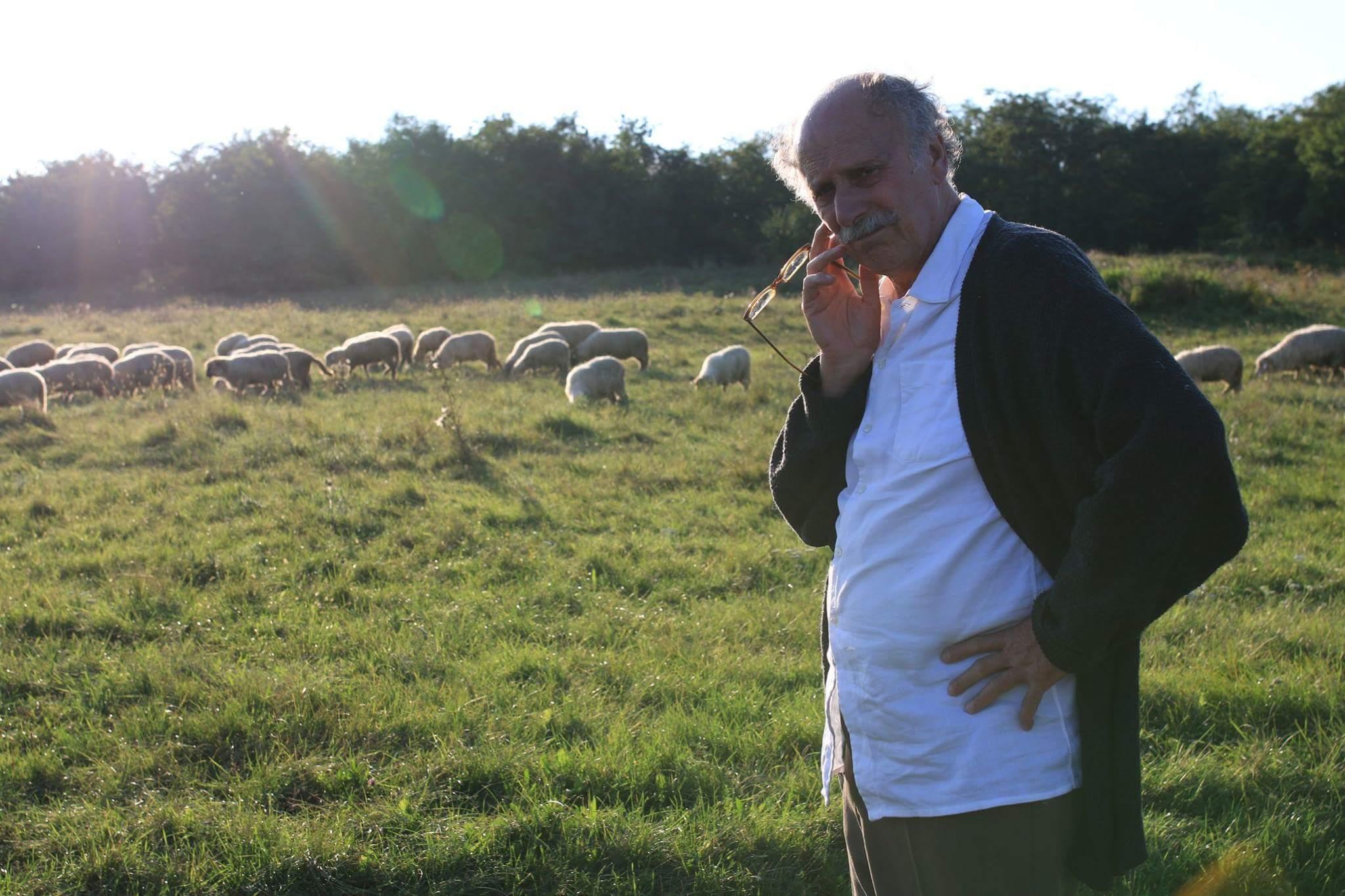 Ovidiu Schumacher image