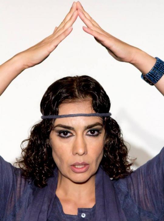 Mozhdeh Shamsai image