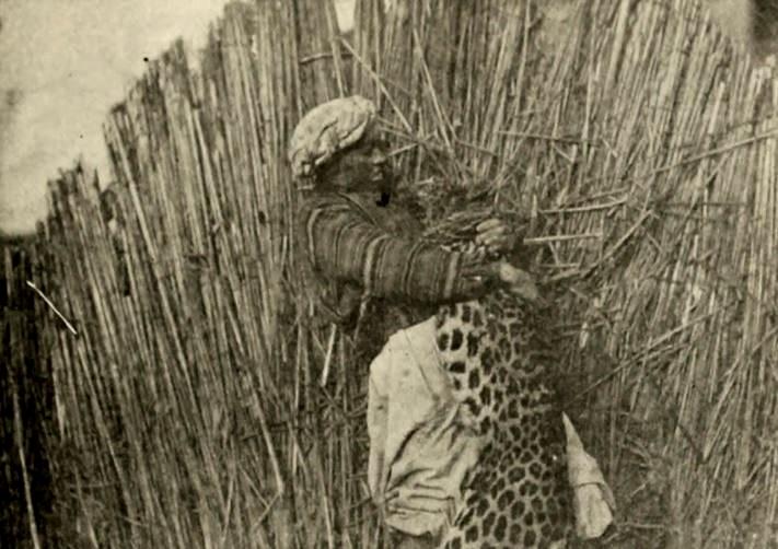 Will E. Sheerer image
