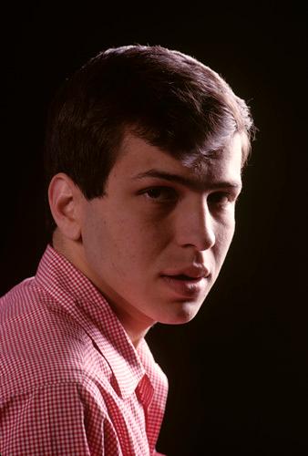 Frank Sinatra Jr. image