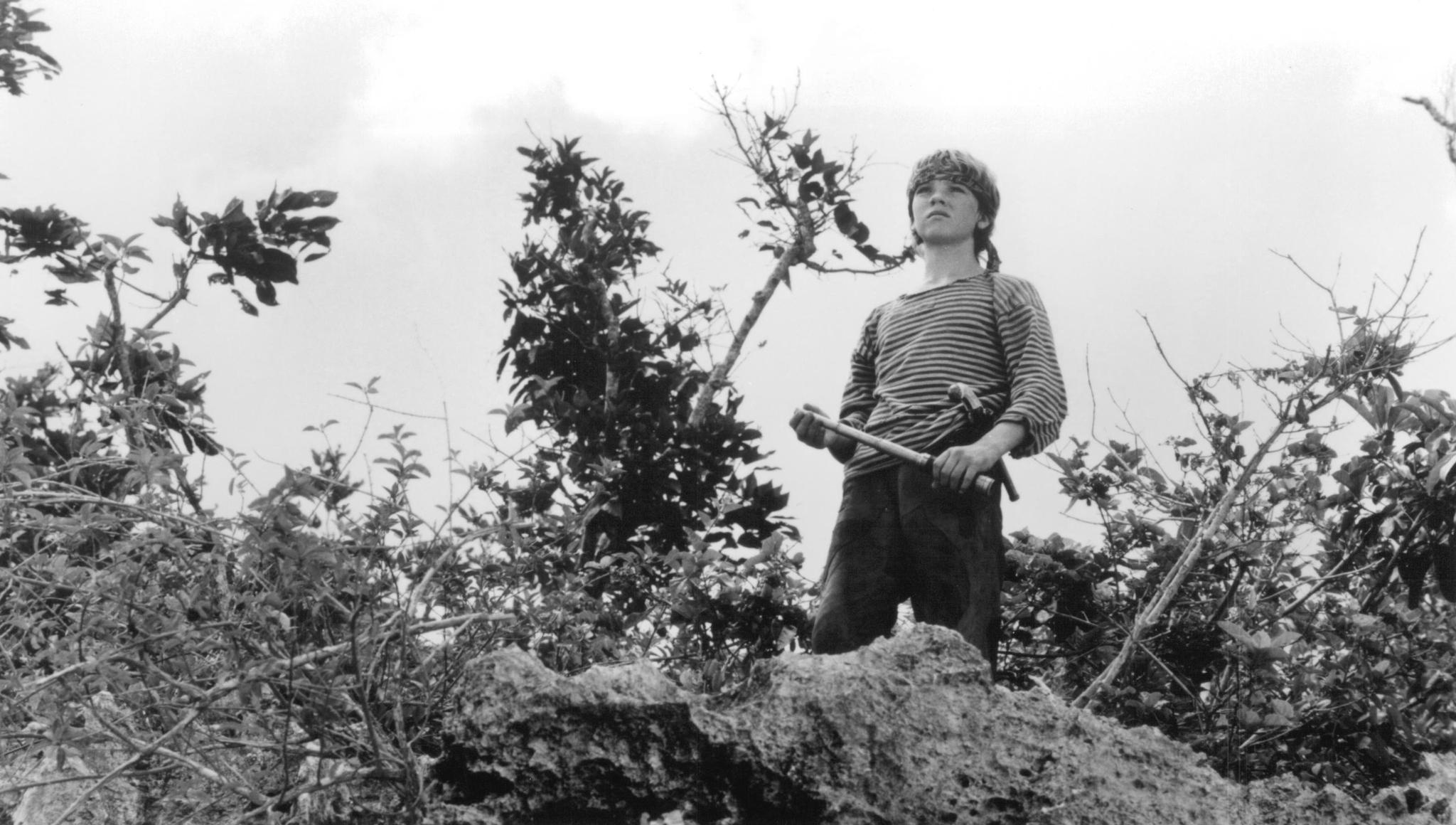 Stian Smestad image