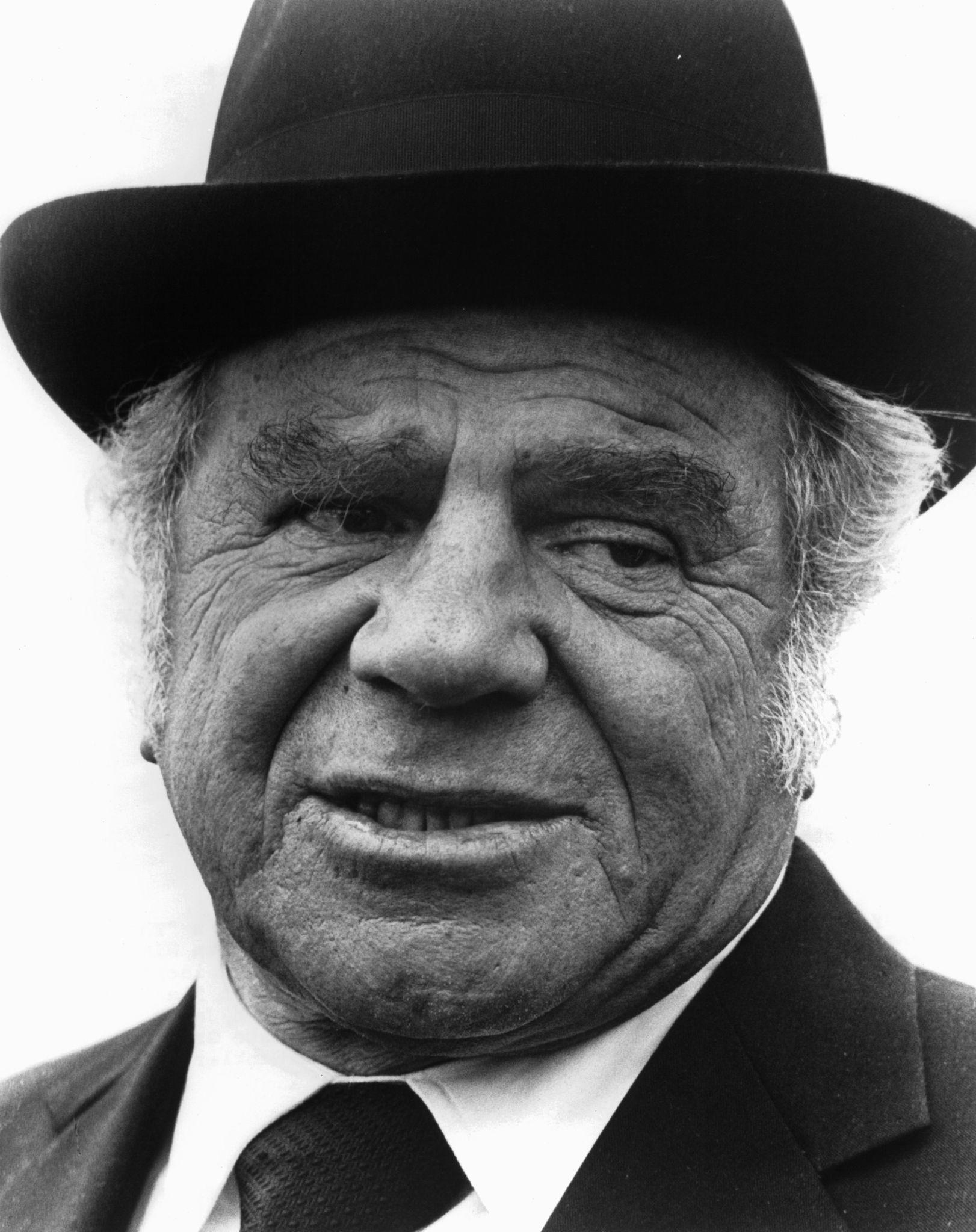 Lionel Stander image