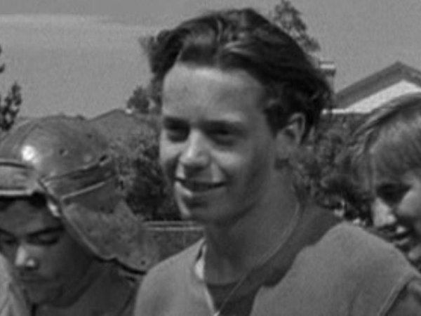 Bob Stebbins image