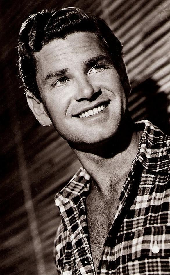 Anthony Steel image