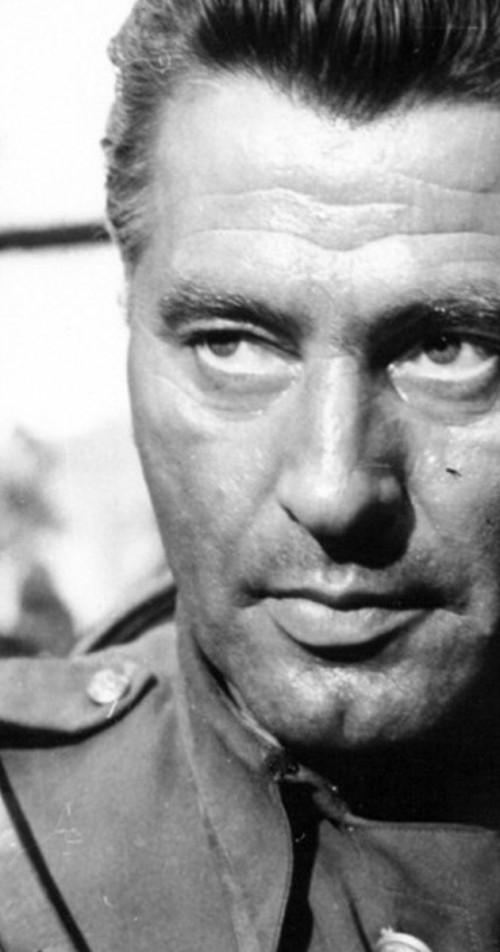 Tadeusz Schmidt image