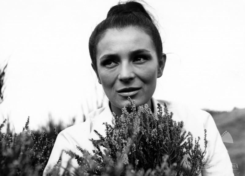 Teresa Szmigielówna image