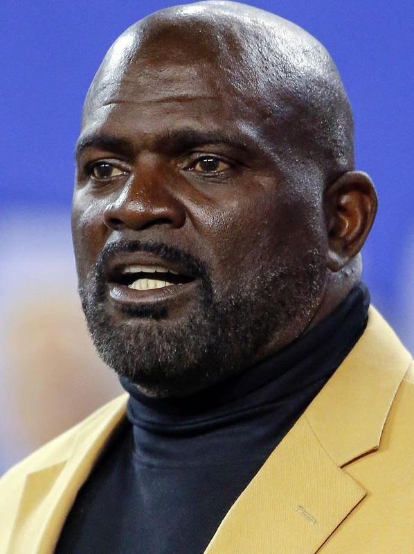 Lawrence Taylor image