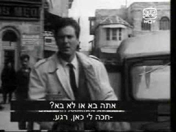 Oded Teomi image