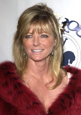 Cheryl Tiegs image