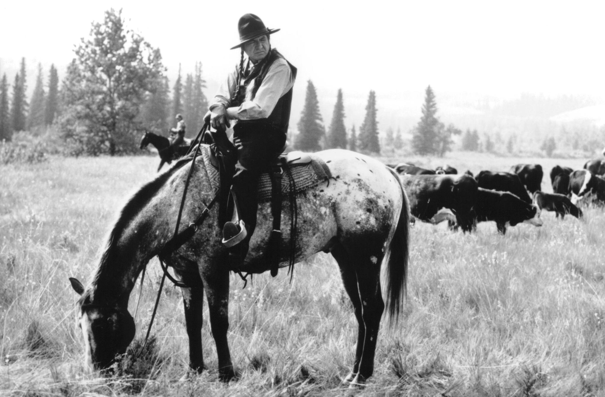 Gordon Tootoosis image