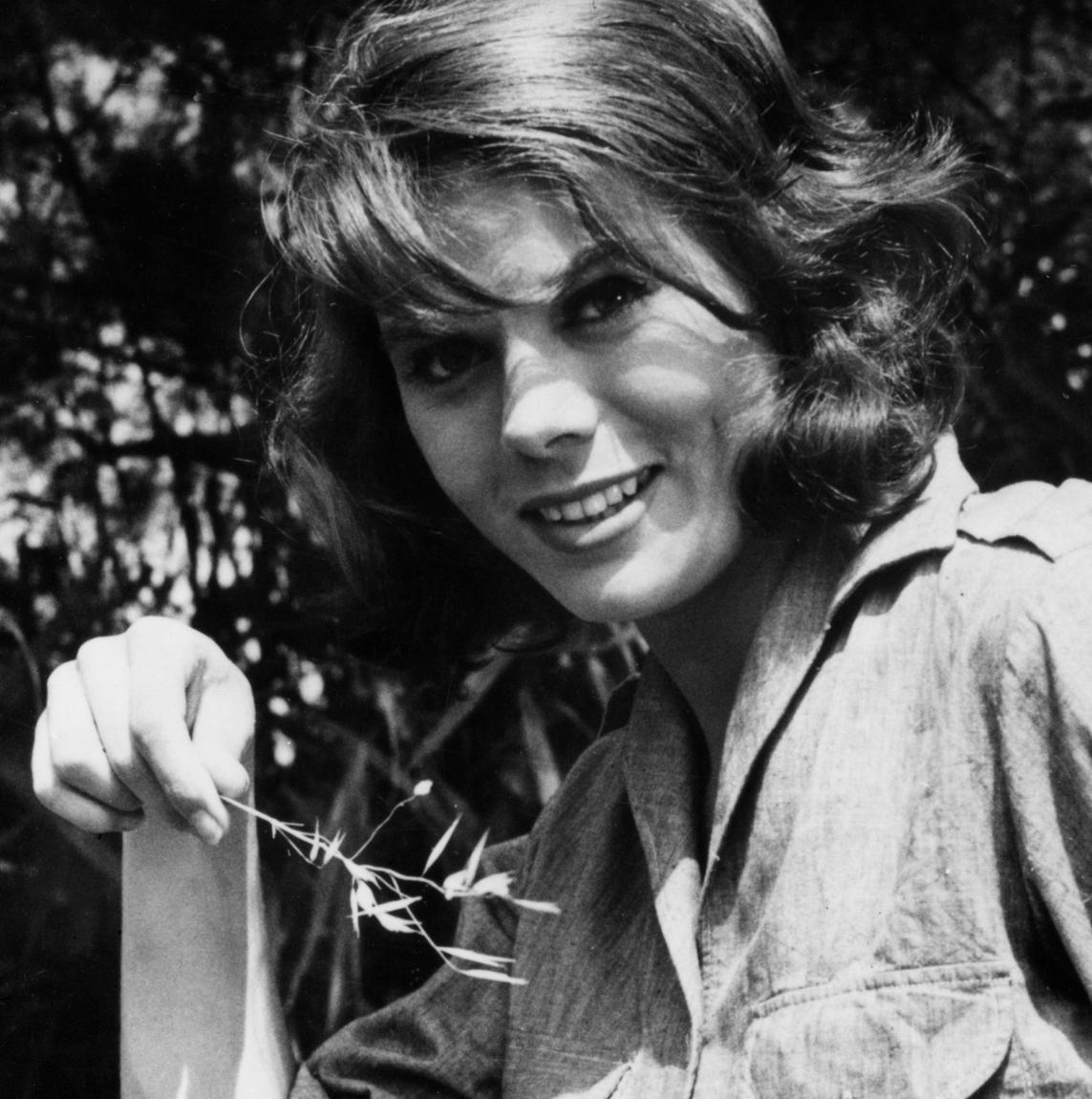 Jacqueline Vandal image