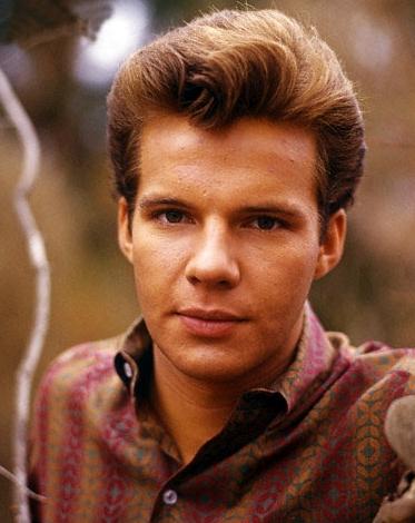 Bobby Vee image