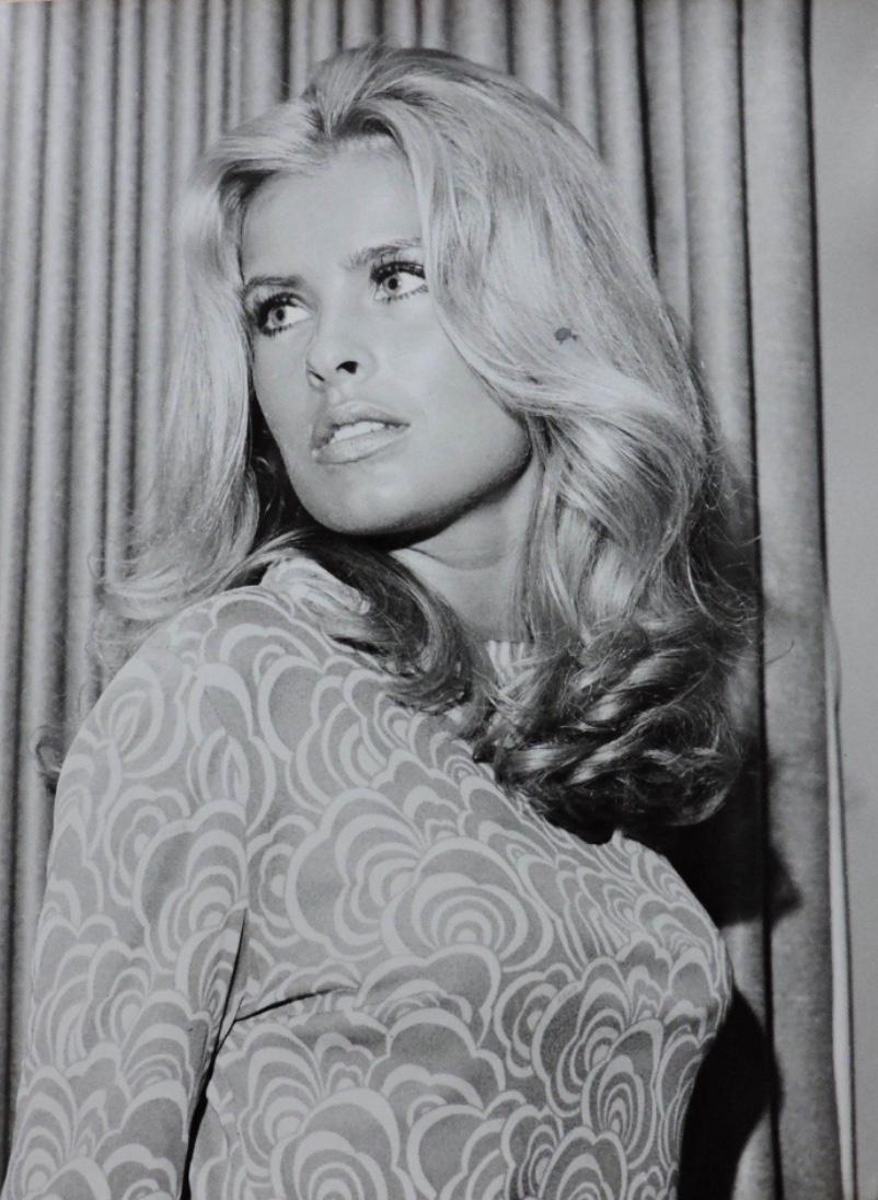 Silvana Venturelli image