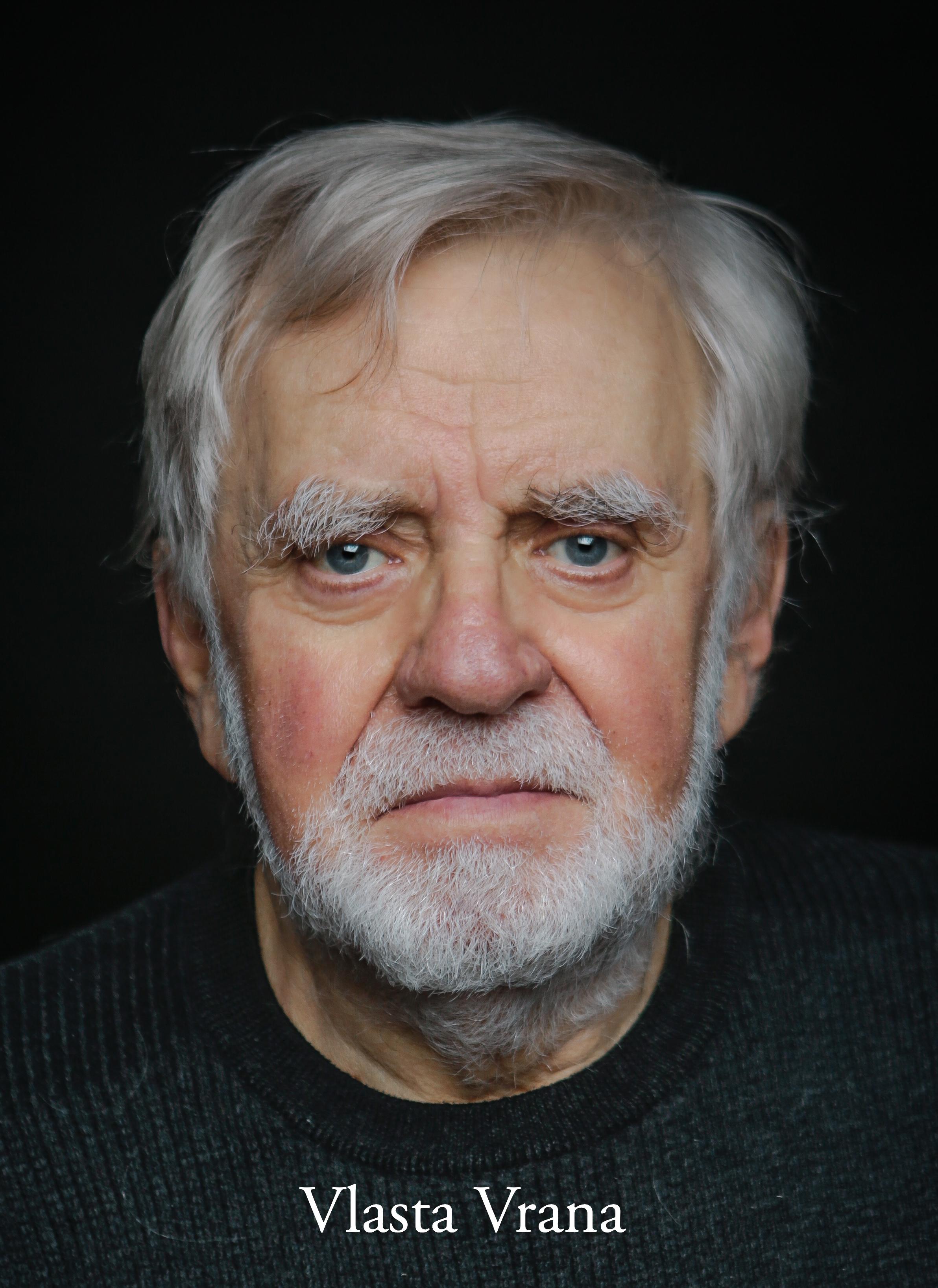 Vlasta Vrana image