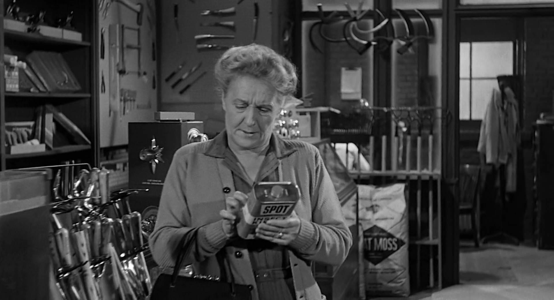 Helen Wallace image