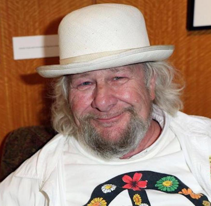 Wavy Gravy image