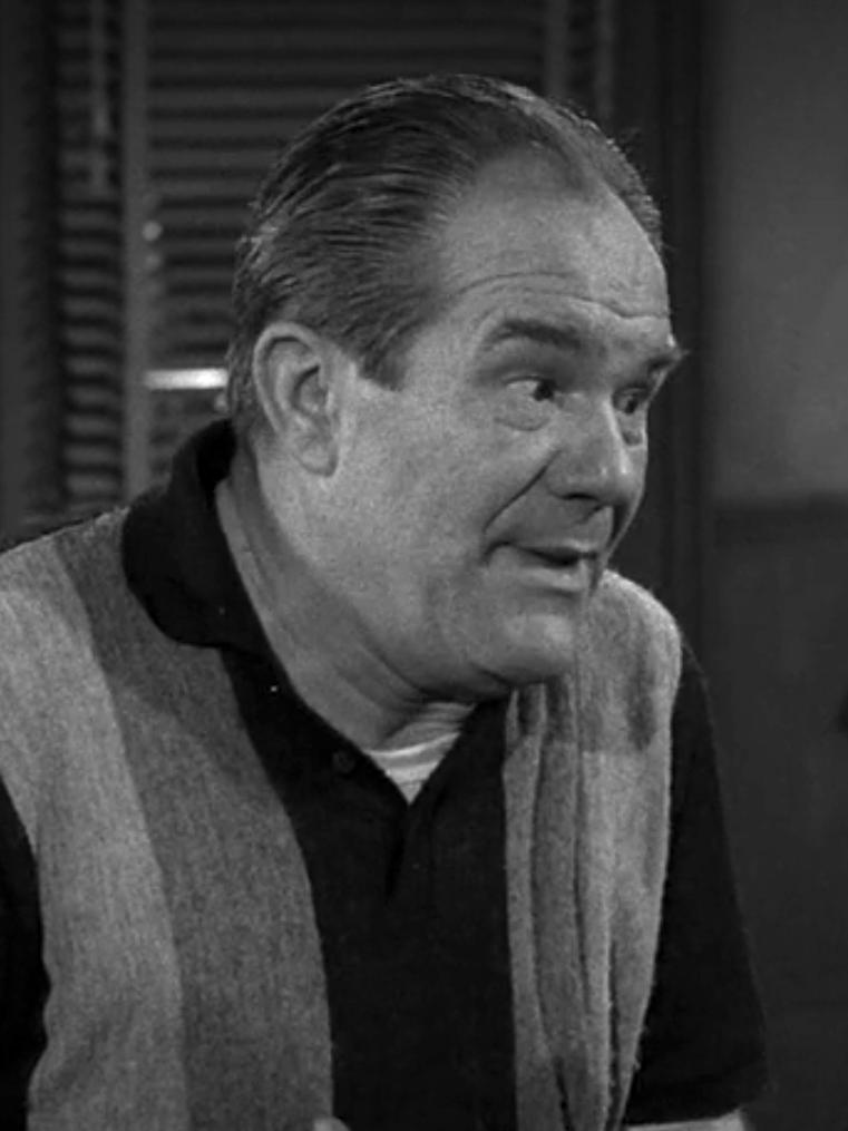 Dick Wessel image
