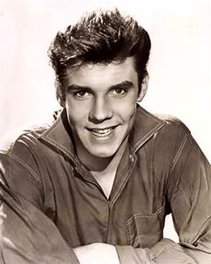 Marty Wilde image