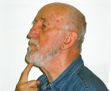 Shmuel Wolf image