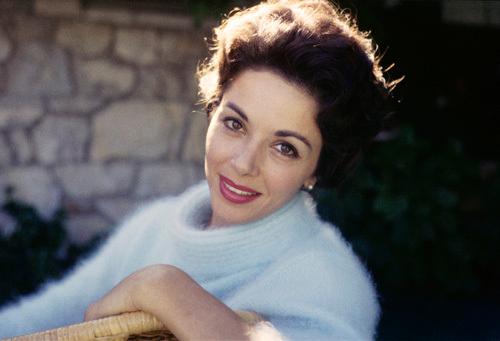 Dana Wynter image