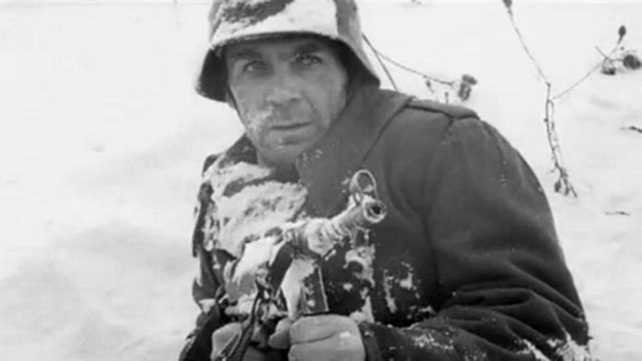 Vladimir Zamanskiy image
