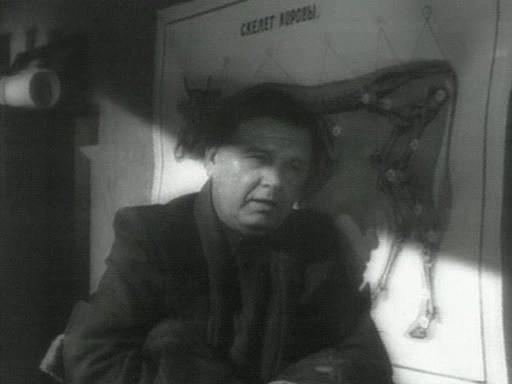 Ivan Zhevago image