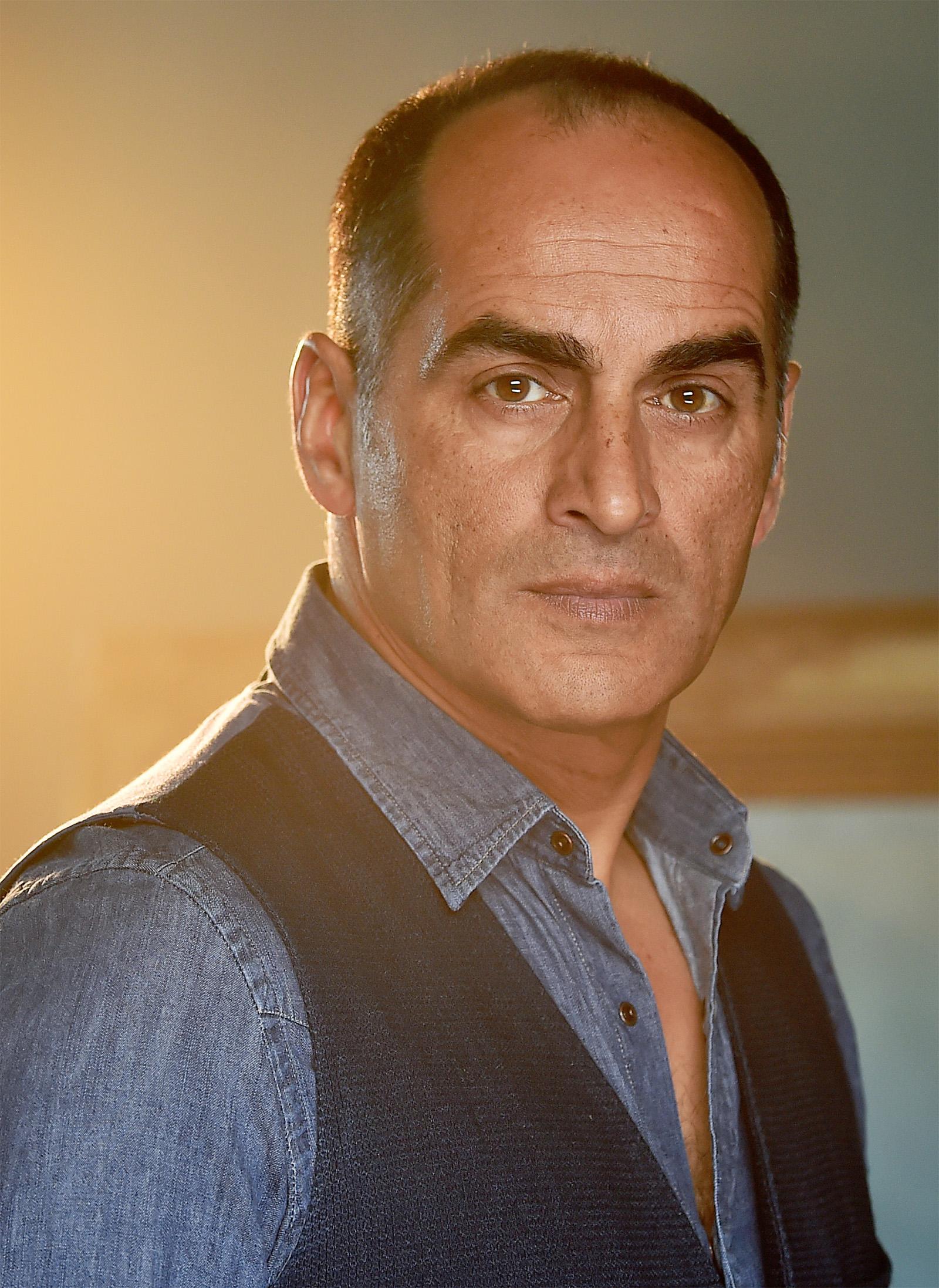 Navid Negahban image