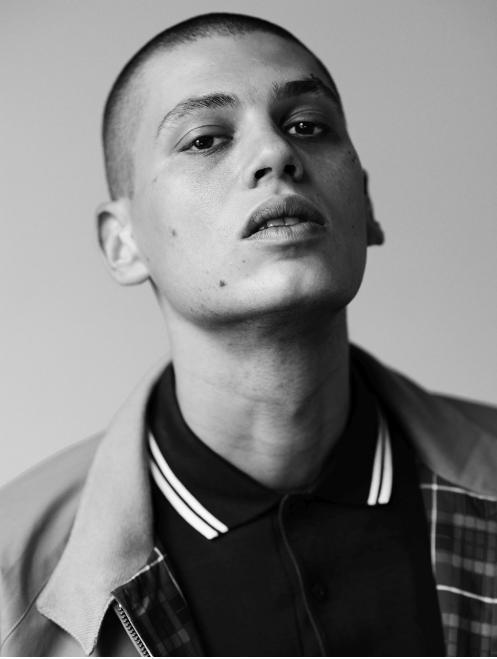 Francesco Cuizza image