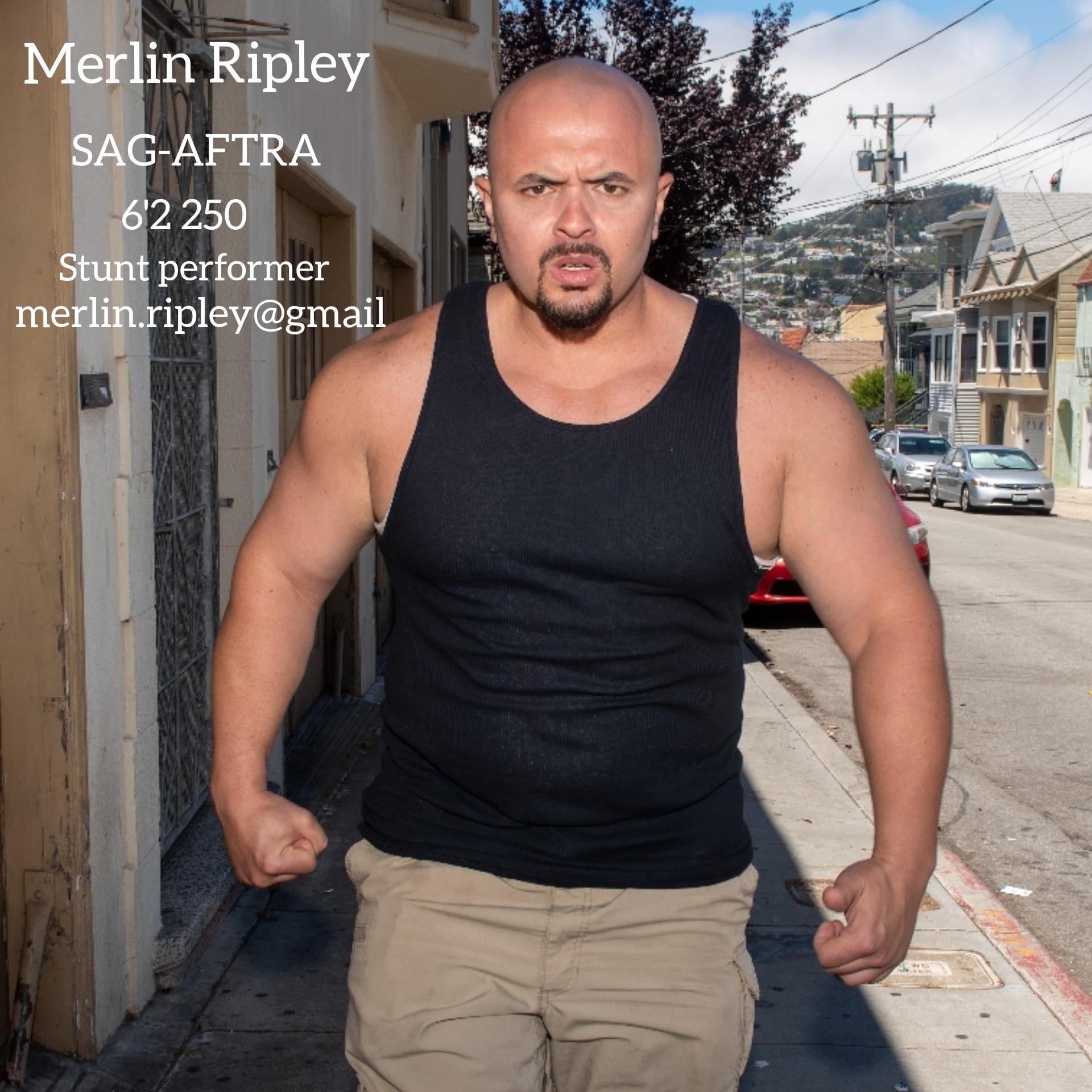 Merlin Ripley image