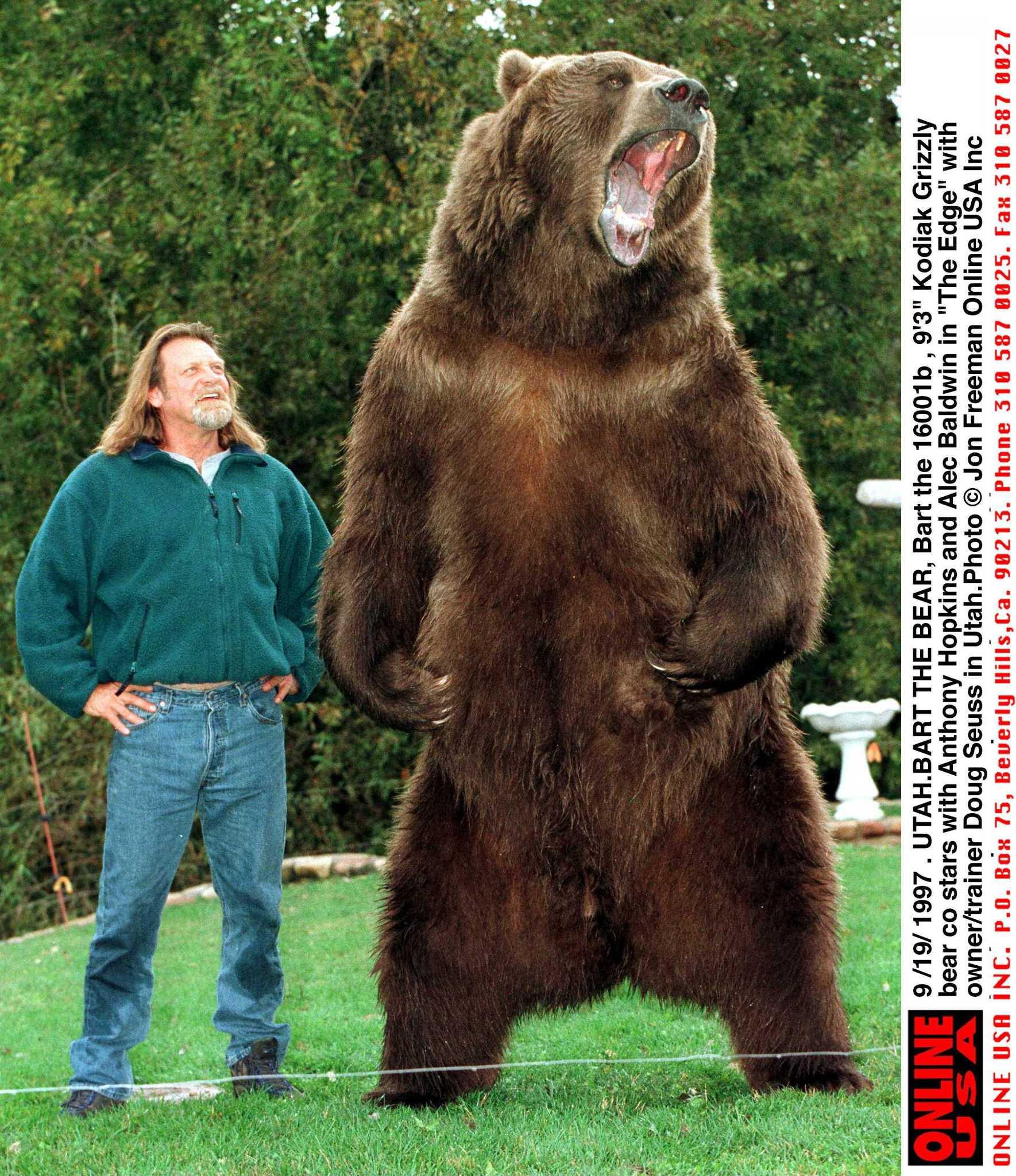 Bart the Bear image
